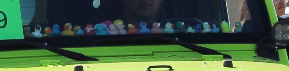 Pahrump Fall Festival Parade & Car Show - image of Healthcare float row of rubber duckies.