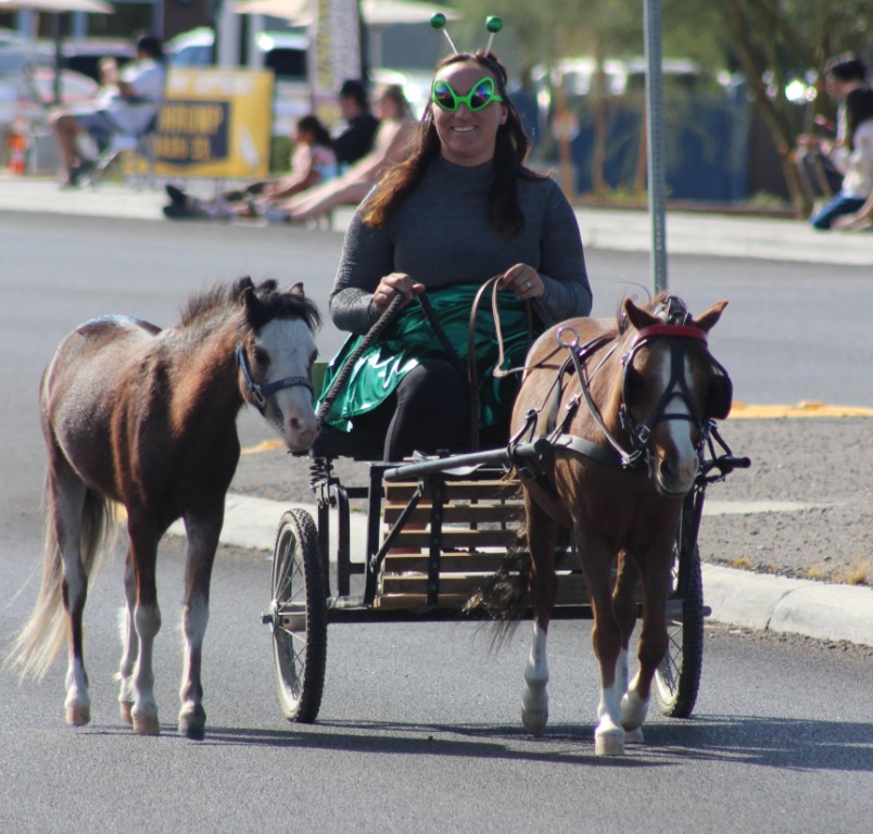Pahrump Fall Festival Parade & Car Show - image of Dancecats supporters - image of woman in a tiny horse drawn carriage with two miniature horses.