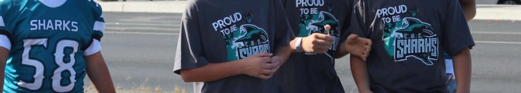 Pahrump Fall Festival Parade & Car Show - image of a closeup of the Pahrump High & Junior school team jersey logos.
