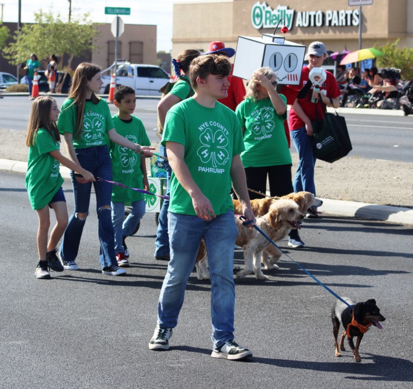 Pahrump Fall Festival Parade & Car Show - image of 4H Club float and followers.