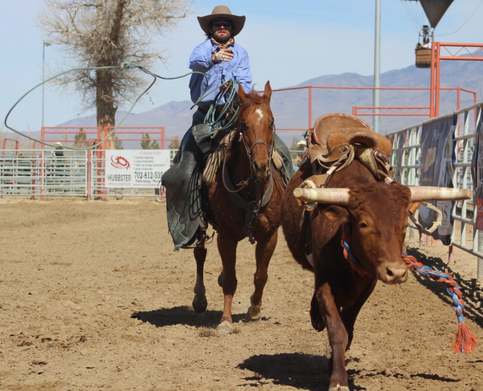 Bull riding event, professional cowboy tries to lasso bull at McCullough Arena, Pahrump NV, as seen in: rodeo White Pine HS, rodeo Battle Mt. HS, rodeo Humboldt HS, and rodeo Pahrump.