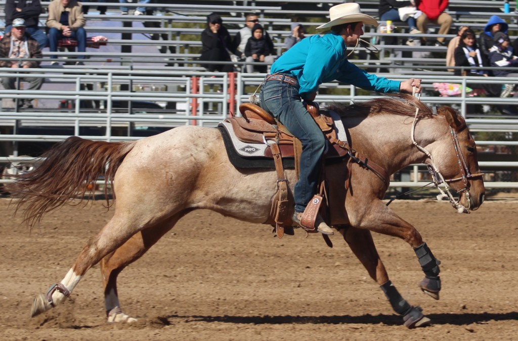 Goat tying event, horse and rider strain forward at start on a sunny winter day while crowd gawks at McCullough Arena, Pahrump NV as seen in: rodeo Moapa Valley HS, rodeo Las Vegas HS & rodeo Boulder City HS.