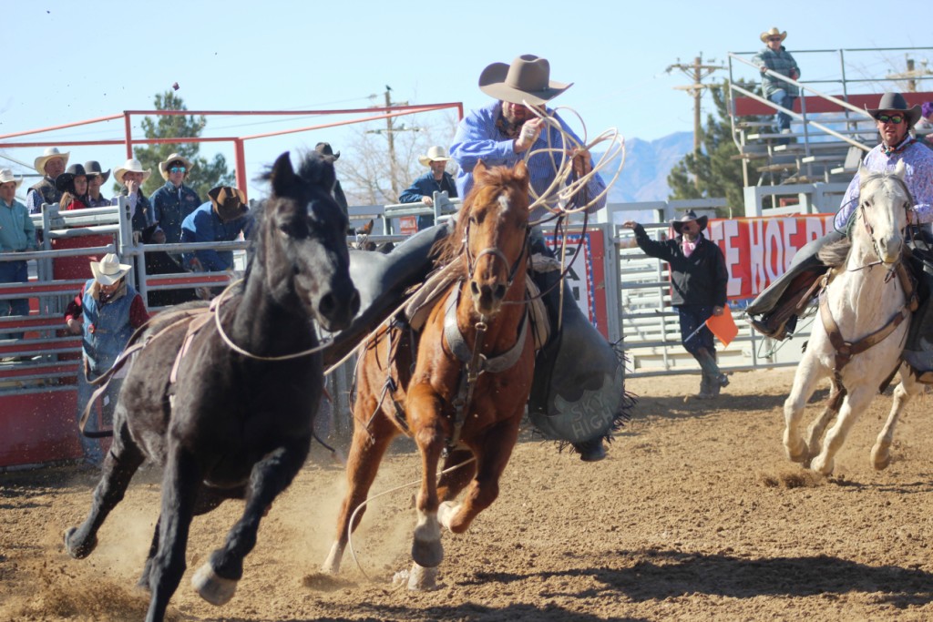 Bareback riding event, professional cowboy tries to rope wild bronc at McCullough Arena, Pahrump NV, as seen in: rodeo Alamo HS, rodeo Spanish Springs HS, rodeo NSHSRA, and rodeo Pahrump.