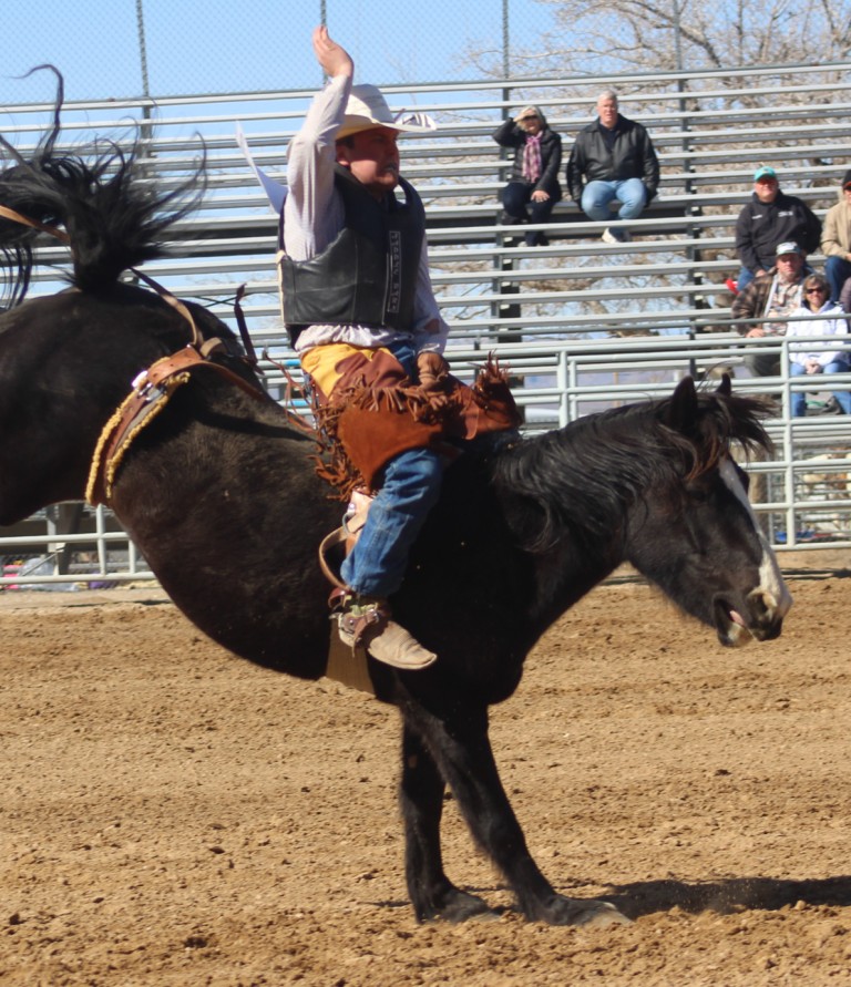 Saddle bronc riding, first of four images, rider hangs on as time passes slowly at McCullough Arena, Pahrump NV, as seen in: rodeo Elko HS, rodeo Eureka HS, rodeo Fernley HS, & rodeo Pahrump. (1)