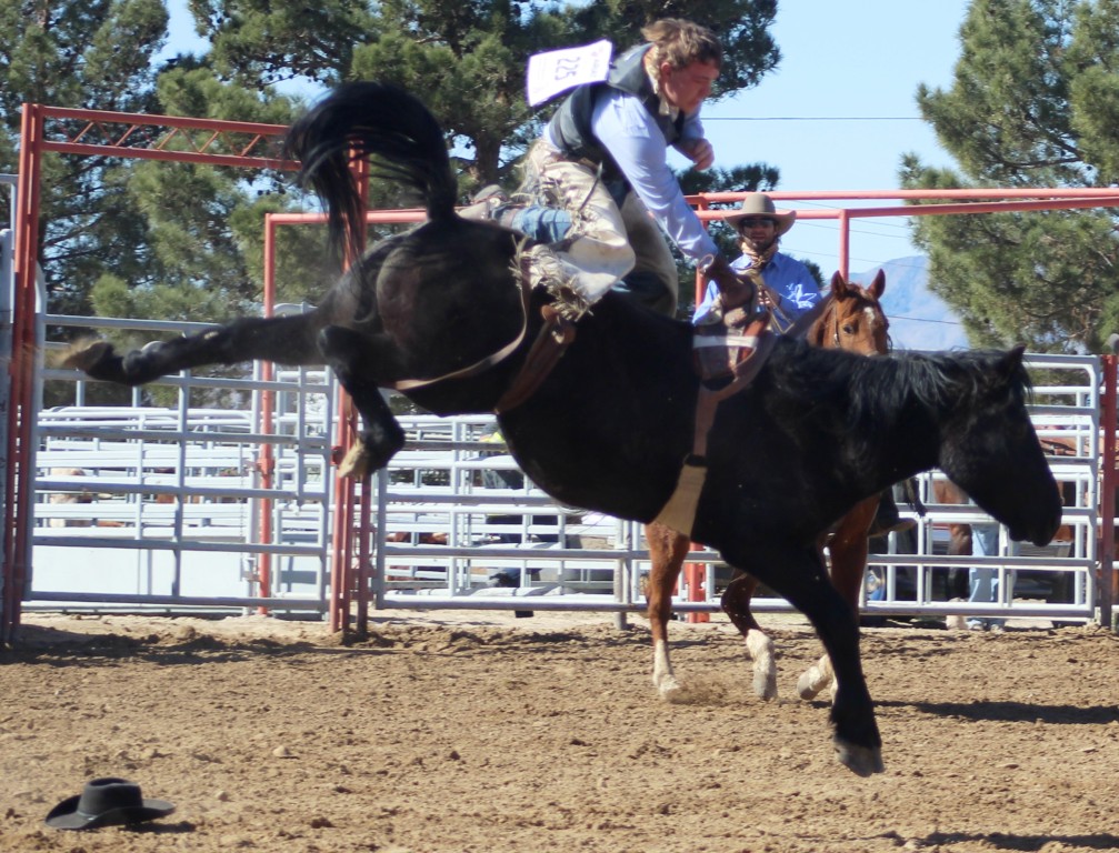 Saddle bronc event, angry black bronc in mid-air as rider balances at McCullough Arena, Pahrump NV, as seen in: rodeo Alamo HS, rodeo Spanish Springs HS, rodeo NSHSRA, and rodeo Pahrump.