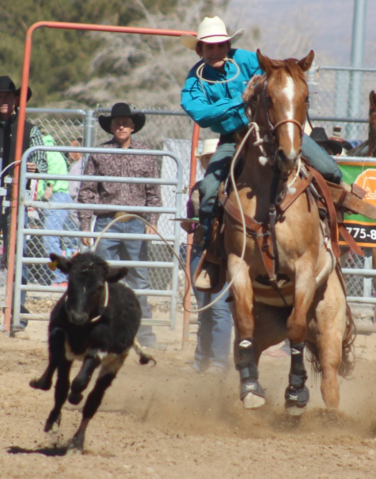 Breakaway event, cowboy with rope in mouth pulls in runaway at McCullough Arena, Pahrump NV, as seen in: rodeo Alamo HS, rodeo Spanish Springs HS rodeo NSHSRA, and rodeo Pahrump.