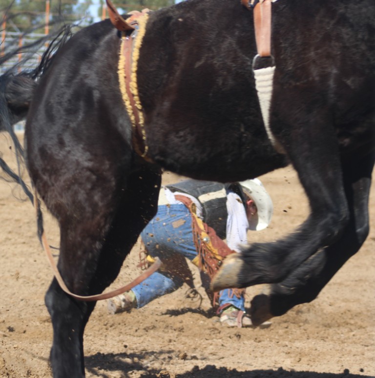 Saddle bronc riding, rider is down in dirt at McCullough Arena, Pahrump NV, as seen in: rodeo Elko HS, rodeo Eureka HS, rodeo Fernley HS & rodeo Pahrump. (4)