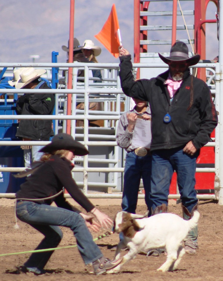 Goat tying event, junior cowgirl tries to control goat in time trials  at McCullough Arena, Pahrump NV, as seen in: rodeo White Pine HS, rodeo Battle Mt. HS, rodeo Humboldt HS, and rodeo Pahrump.