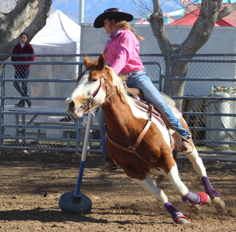 Poll-bending event, horse and rider in pink round the last pole of the first turn in time trials at McCullough Arena, Pahrump NV, as seen in: rodeo White Pine HS, rodeo Battle Mt. HS, rodeo Humboldt HS, and rodeo Pahrump.