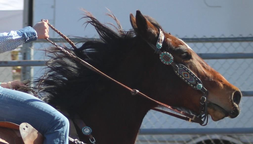 Poll-bending event, horse's mane flowing at McCullough Arena, Pahrump NV, as seen in: rodeo Elko HS, rodeo Eureka HS, rodeo Fernley HS, and rodeo Pahrump.