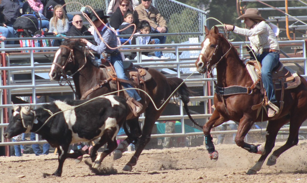 Team roping event, team successfully ropes bull at McCullough Arena, Pahrump NV, as seen in: rodeo Elko HS, rodeo Eureka HS, rodeo Fernley HS, and rodeo Pahrump. (1)