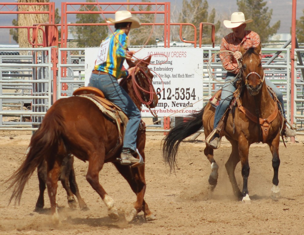 Team roping event, team unsuccessfully ropes bull at McCullough Arena, Pahrump NV, as seen in: rodeo Elko HS, rodeo Eureka HS, rodeo Fernley HS, and rodeo Pahrump. (4)
