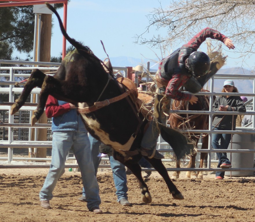 Bull riding event, rider is launched into space facing gravity at McCullough Arena, Pahrump NV, as seen in: rodeo Alamo HS, rodeo Spanish Springs HS, rodeo NSHSRA, and rodeo Pahrump.