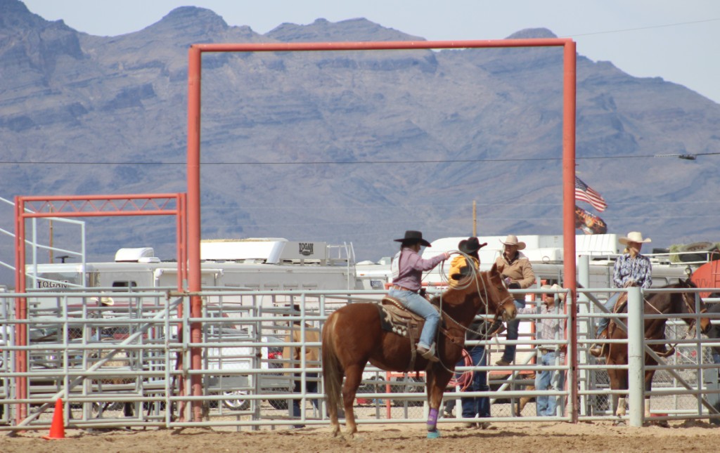 Classic, iconic image of the red gate with a mountainous background at McCullough Memorial Rodeo Arena, Petrack Park, Pahrump, Nevada, as seen in Elko HS Rodeo, Eureka HS Rodeo, rodeo Fernley HS, & rodeo Pahrump.