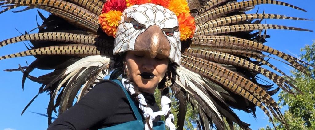 Gourde dancer in eagle headdress as seen in Powwows: Cedar Band of Paiutes; UNLV Powwows for the Future; Burns; Elko; Stewart; Ely, Goshute; Numaga; Bishop; and Moapa.