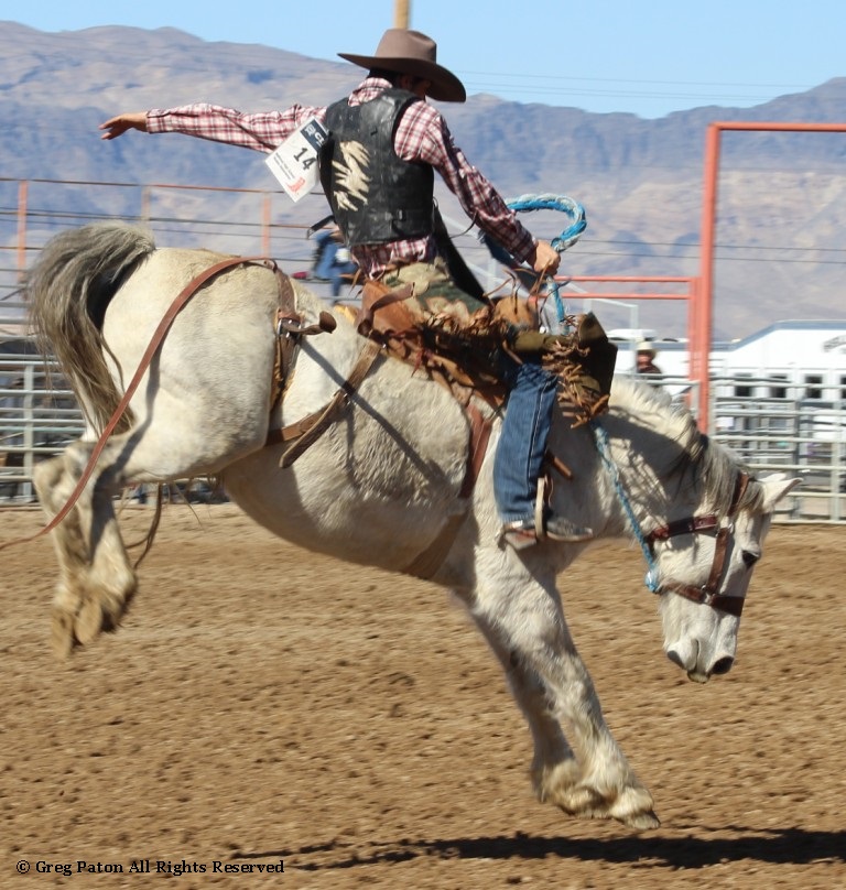 Saddle bronc riding As seen in high school rodeos: Alamo; Battle Mountain; Boulder City; Elko; Eureka; Fallon; & Fernley.