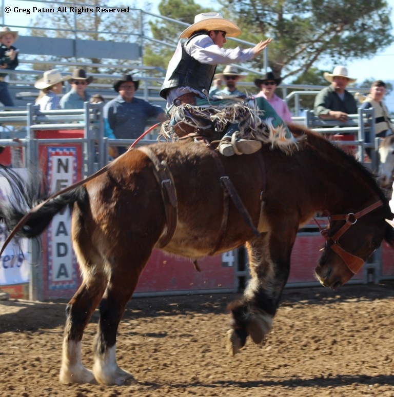 Saddle bronc riding As seen in high school rodeos: Nevada State HS Rodeo Association; Priefert Pavilion; Petrack; Petrack Park; & Mccullough arena.
