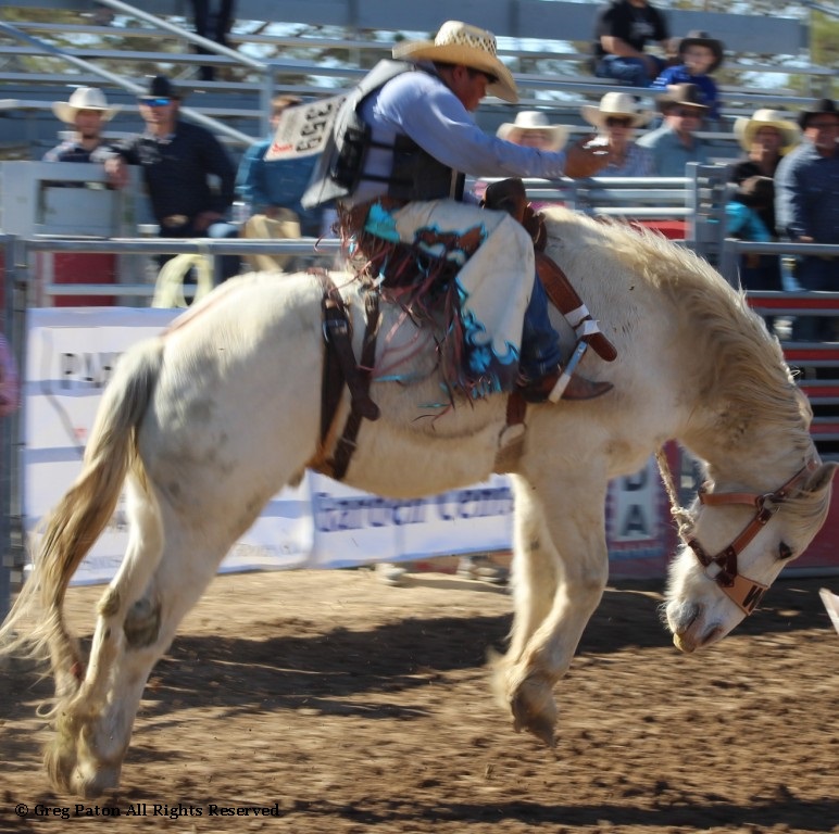 Saddle bronc riding as seen in high school rodeos:  Spanish Springs; Washoe; Wells; White Pine & NSHSRA.