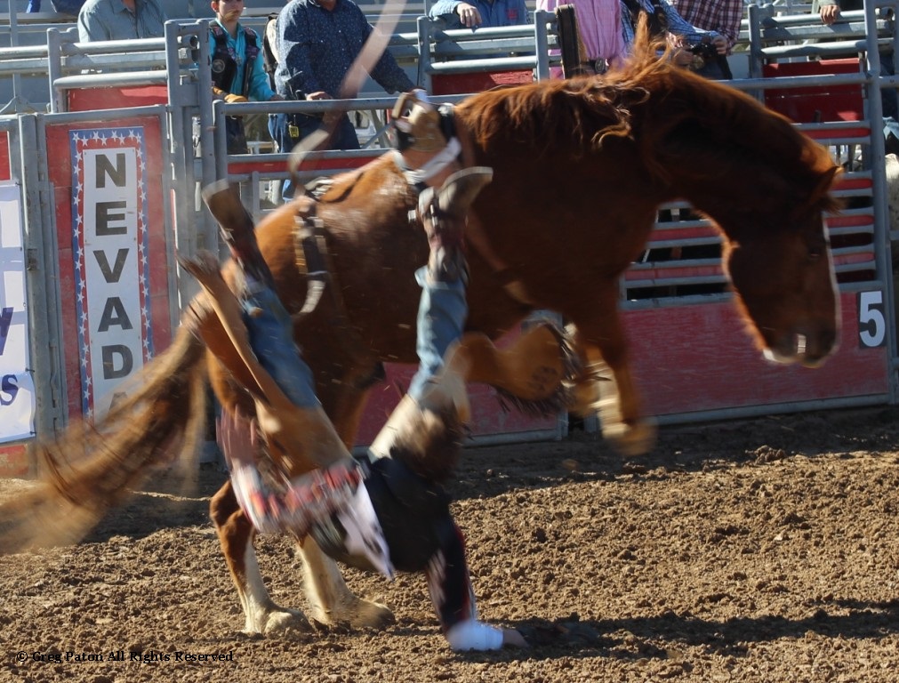 Saddle bronc riding as seen in high school rodeos: Alamo; Battle Mountain; Boulder City; Elko; Eureka; Fallon; & Fernley.