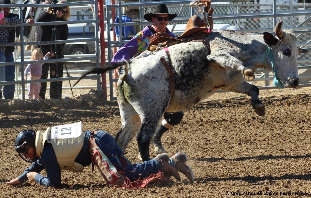 Bull riding as seen in high school rodeos: Alamo; Battle Mountain; Boulder City; Elko; Eureka; Fallon; & Fernley.