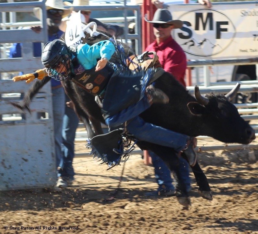Bull riding as seen in high school rodeos: Nevada State HS Rodeo Association; Priefert Pavilion; Petrack; Petrack Park; & Mccullough arena.