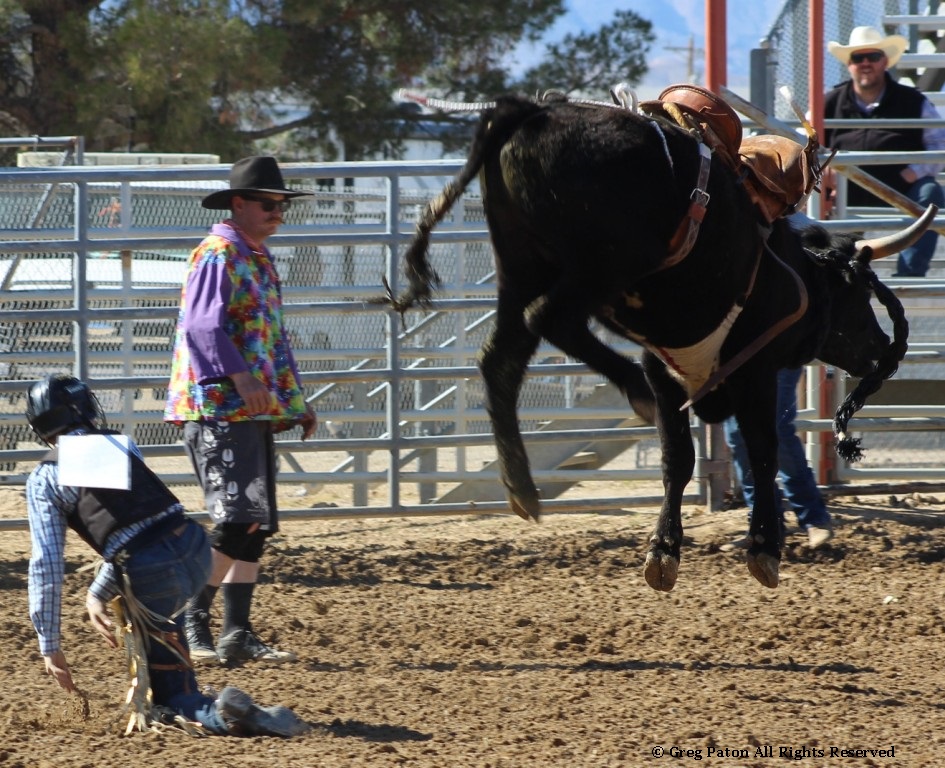 Bull riding as seen in high school rodeos:  Spanish Springs; Washoe; Wells; White Pine & NSHSRA.