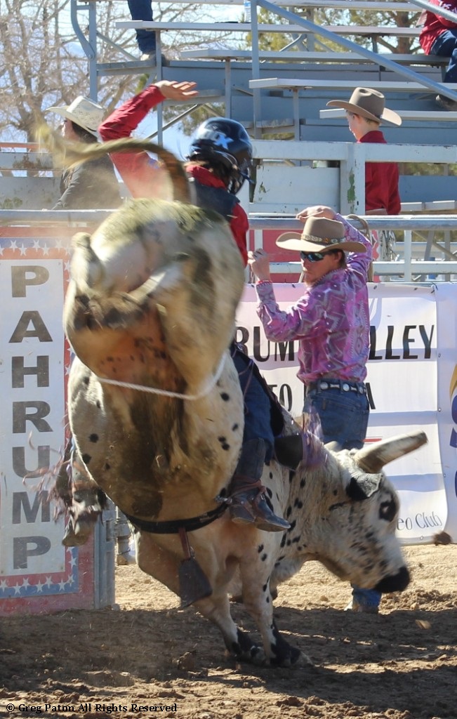 Bull riding event as seen in high school rodeos: Nevada State HS Rodeo Association; Priefert Pavilion; Petrack; Petrack Park; & Mccullough arena.