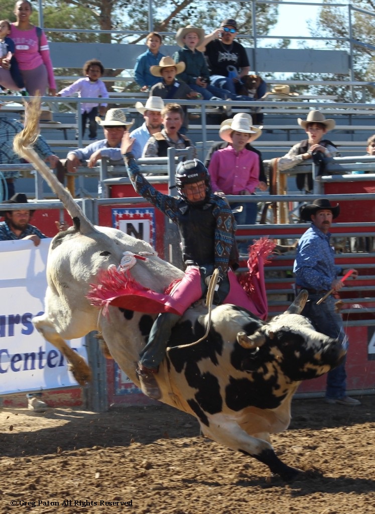 Bull riding as seen in high school rodeos:  Spanish Springs; Washoe; Wells; White Pine & NSHSRA.