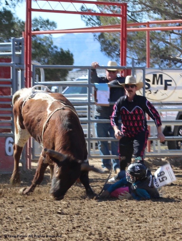 Bull riding As seen in high school rodeos: Humboldt; Las Vegas; Moapa Valley; Mccullough; Pahrump; and Petrack.