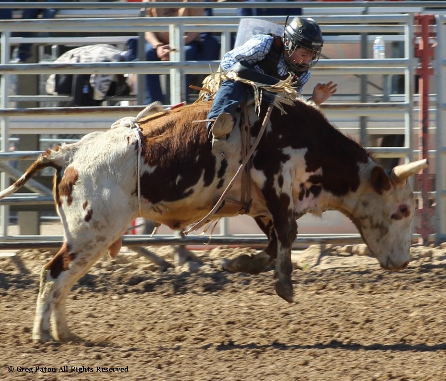 Bull riding as seen in high school rodeos: Alamo; Battle Mountain; Boulder City; Elko; Eureka; Fallon; & Fernley.