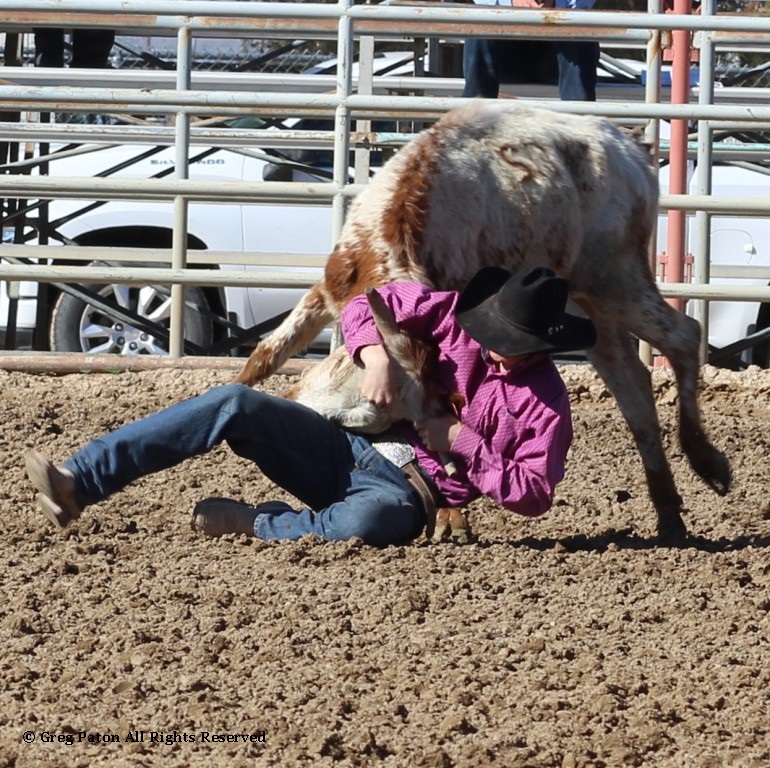 Chute doggin' as seen in high school rodeos: Humboldt; Las Vegas; Moapa Valley; Mccullough; Pahrump; and Petrack.