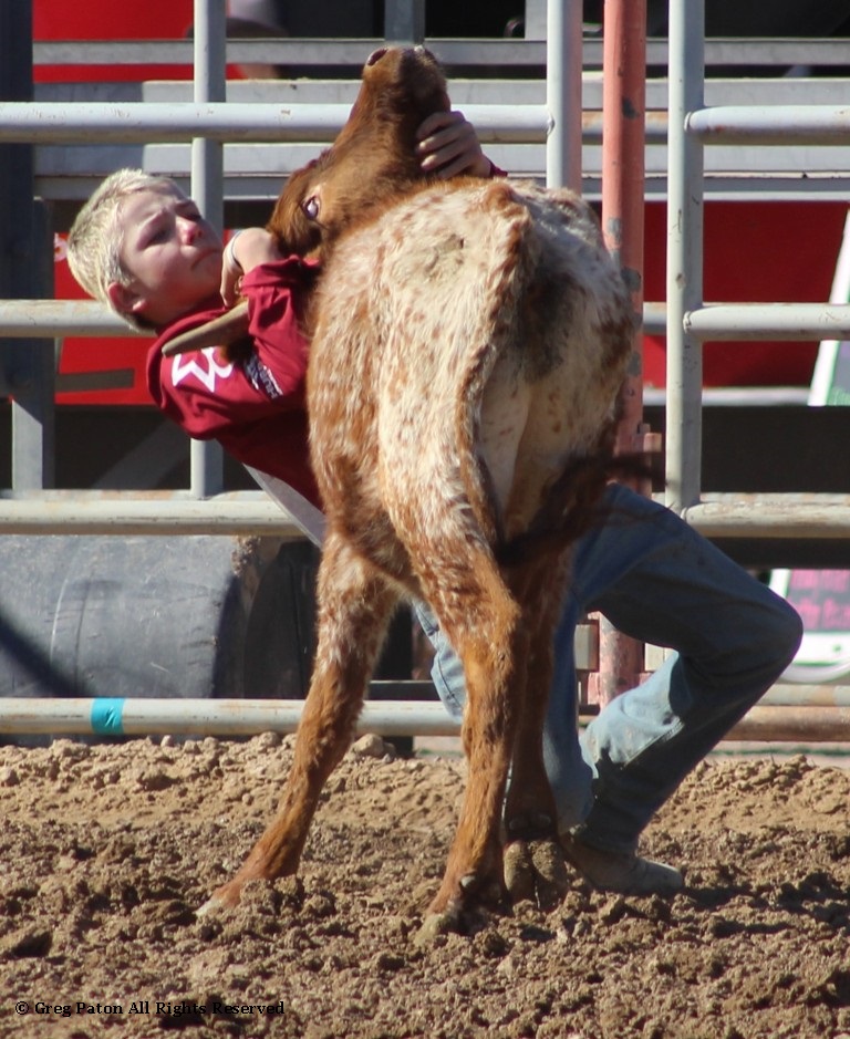 Chute doggin' as seen in high school rodeos: Alamo; Battle Mountain; Boulder City; Elko; Eureka; Fallon; & Fernley.
