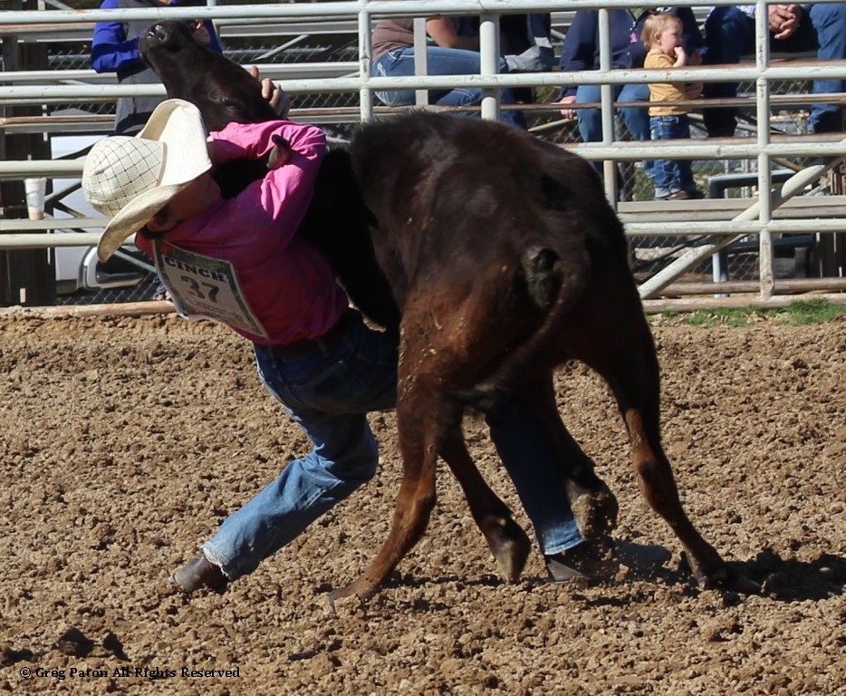 Chute doggin' as seen in high school rodeos: Alamo; Battle Mountain; Boulder City; Elko; Eureka; Fallon; & Fernley.