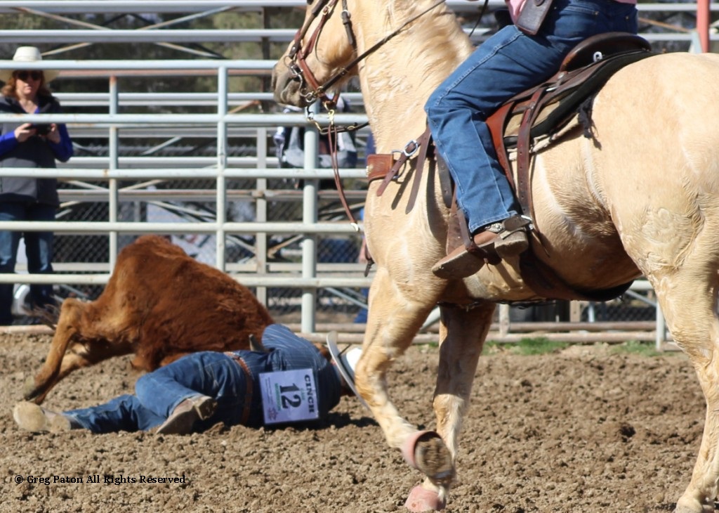 Chute doggin' as seen in high school rodeos: Nevada State HS Rodeo Association; Priefert Pavilion; Petrack; Petrack Park; & Mccullough arena.