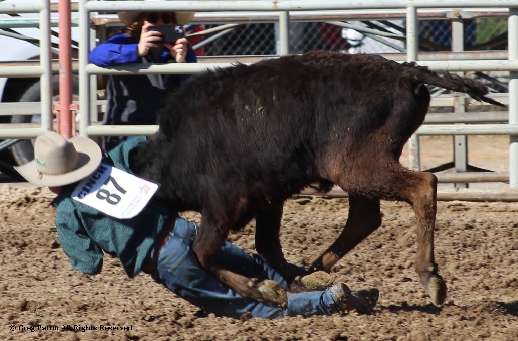 Chute doggin' as seen in high school rodeos: Humboldt; Las Vegas; Moapa Valley; Mccullough; Pahrump; and Petrack.