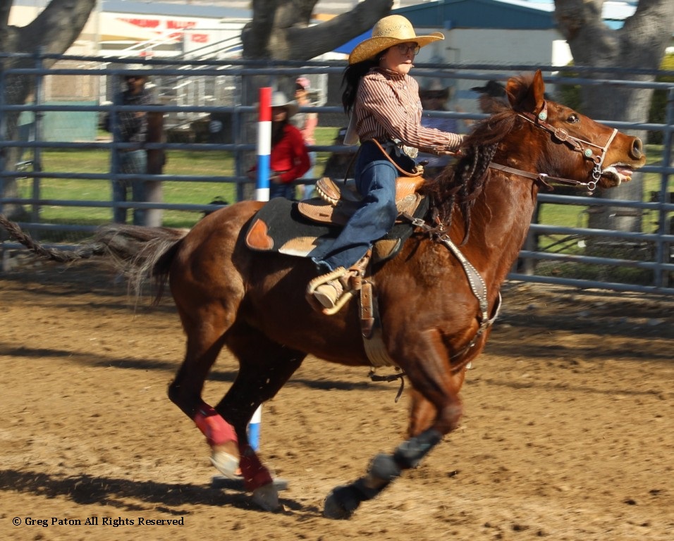 Pole-bending as seen in high school rodeos:  Spanish Springs; Washoe; Wells; White Pine & NSHSRA.