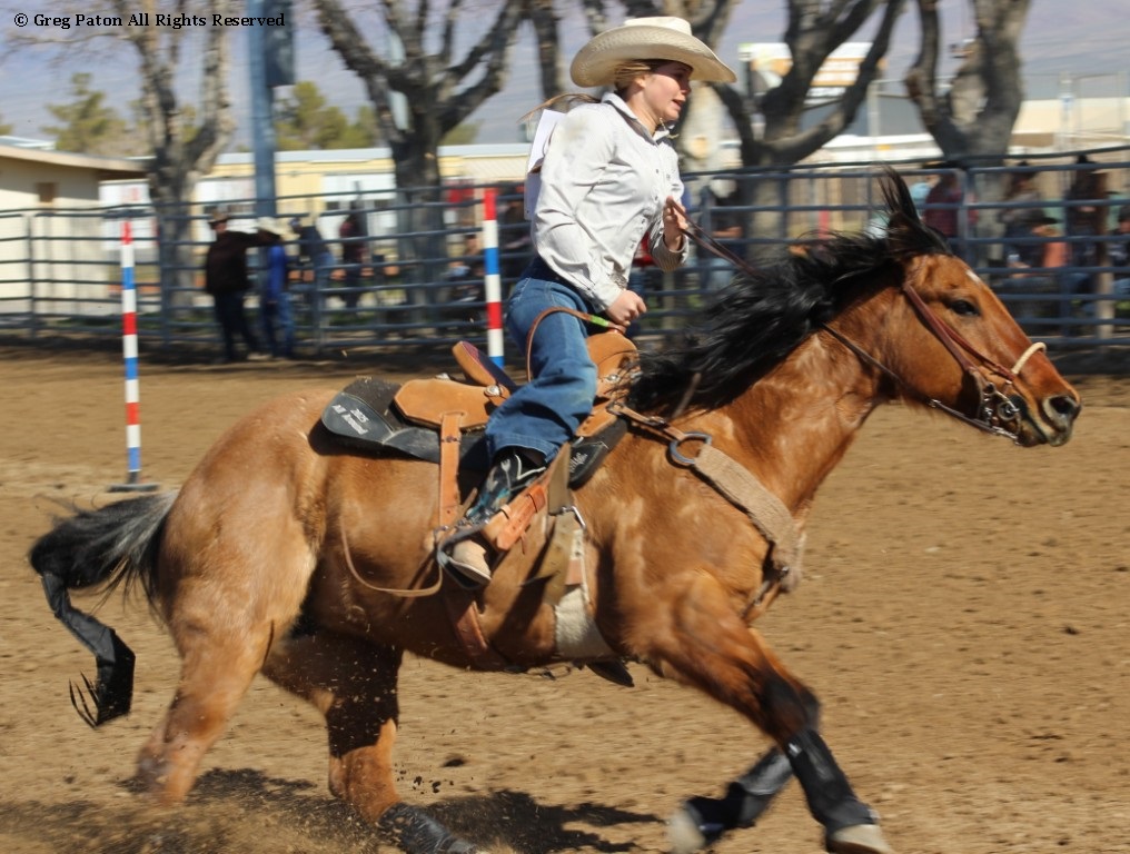 Pole-bending as seen in high school rodeos: Nevada State HS Rodeo Association; Priefert Pavilion; Petrack; Petrack Park; & Mccullough arena.