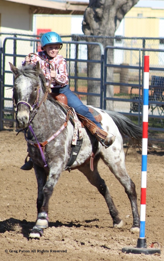 Pole-bending event, contestant races to finish of time trials at McCullough Arena, Pahrump Nevada, as seen in high school rodeos: Alamo; Battle Mountain; Boulder City; Pahrump; Pahrump Valley; Elko; Eureka; Fallon; Fernley; Humboldt; Moapa Valley; Spanish Springs; Washoe; Wells; White Pine; NSHSRA; Priefert Pavilion; & South Point.