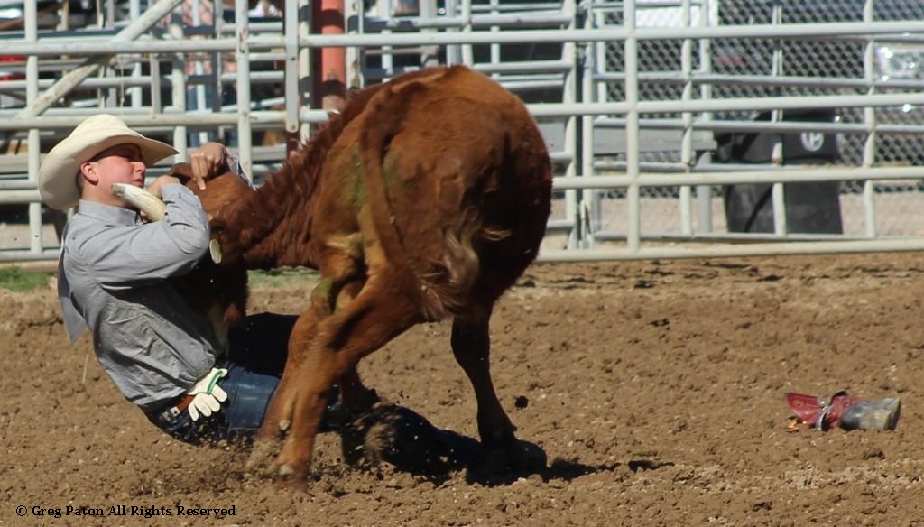 Steer wrestling as seen in high school rodeos: Alamo; Battle Mountain; Boulder City; Elko; Eureka; Fallon; & Fernley.