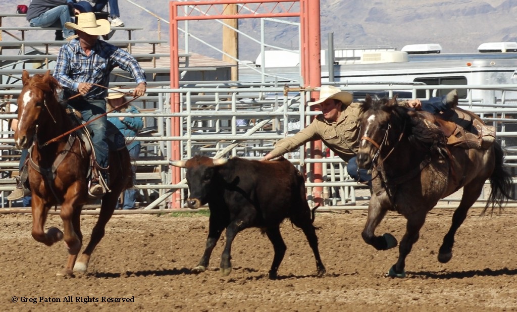 Steer wrestling as seen in high school rodeos: Humboldt; Las Vegas; Moapa Valley; Mccullough; Pahrump; and Petrack.