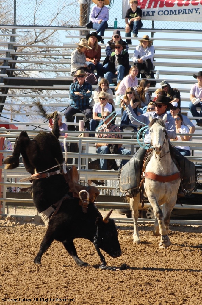 Bull riding as seen in high school rodeos: Humboldt; Las Vegas; Moapa Valley; Mccullough; Pahrump; and Petrack.