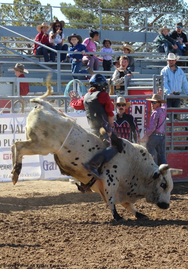 Bull riding as seen in high school rodeos:  Spanish Springs; Washoe; Wells; White Pine & NSHSRA.