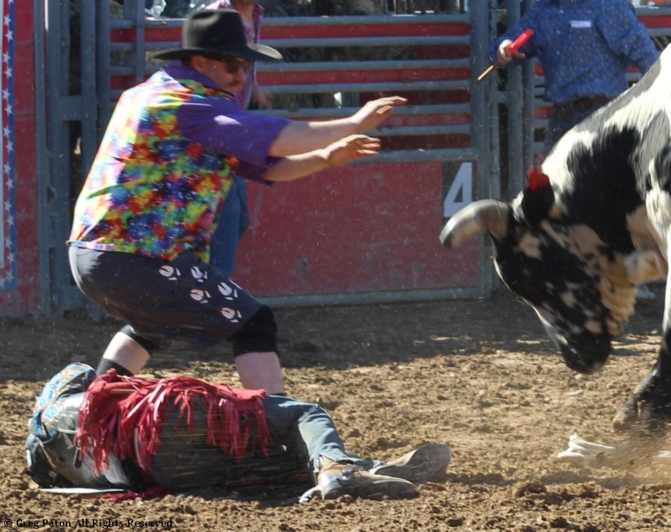 Bull closeup As seen in high school rodeos: Alamo; Battle Mountain; Boulder City; Elko; Eureka; Fallon; and Fernley.