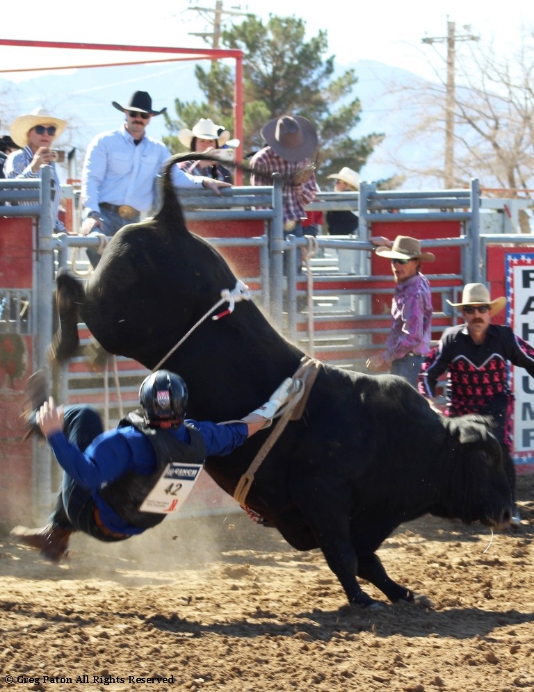 Bull riding as seen in high school rodeos: Nevada State HS Rodeo Association; Priefert Pavilion; Petrack; Petrack Park; & Mccullough arena.