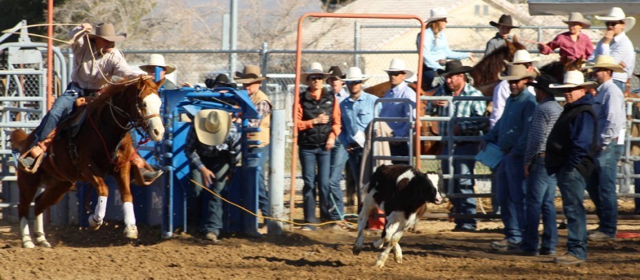 Breakaway event as seen in high school rodeos: Nevada State HS Rodeo Association; Priefert Pavilion; Petrack; Petrack Park; & Mccullough arena.