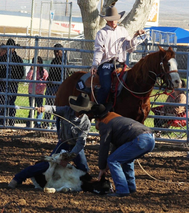 Breakaway event as seen in high school rodeos: Humboldt; Las Vegas; Moapa Valley; Mccullough; Pahrump; and Petrack.