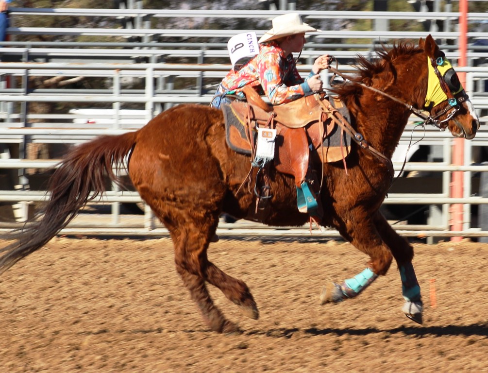 Goat tying event, cowgirl rides on one stirrup ready to leap to the ground of time trials at McCullough Arena, Pahrump Nevada, as seen in high school rodeos: Alamo; Battle Mountain; Boulder City; Pahrump; Pahrump Valley; Elko; Eureka; Fallon; Fernley; Humboldt; Moapa Valley; Spanish Springs; Washoe; Wells; White Pine; NSHSRA; Priefert Pavilion; & South Point.