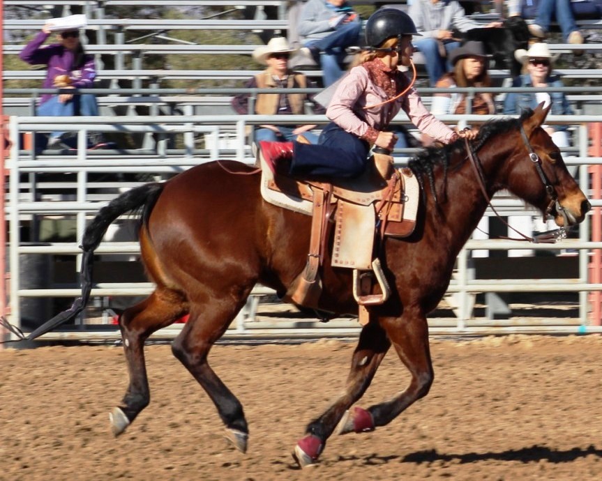 Goat tying event, cowgirl unsaddles ready to leap to the ground of time trials at McCullough Arena, Pahrump Nevada, as seen in high school rodeos: Alamo; Battle Mountain; Boulder City; Pahrump; Pahrump Valley; Elko; Eureka; Fallon; Fernley; Humboldt; Moapa Valley; Spanish Springs; Washoe; Wells; White Pine; NSHSRA; Priefert Pavilion; & South Point.