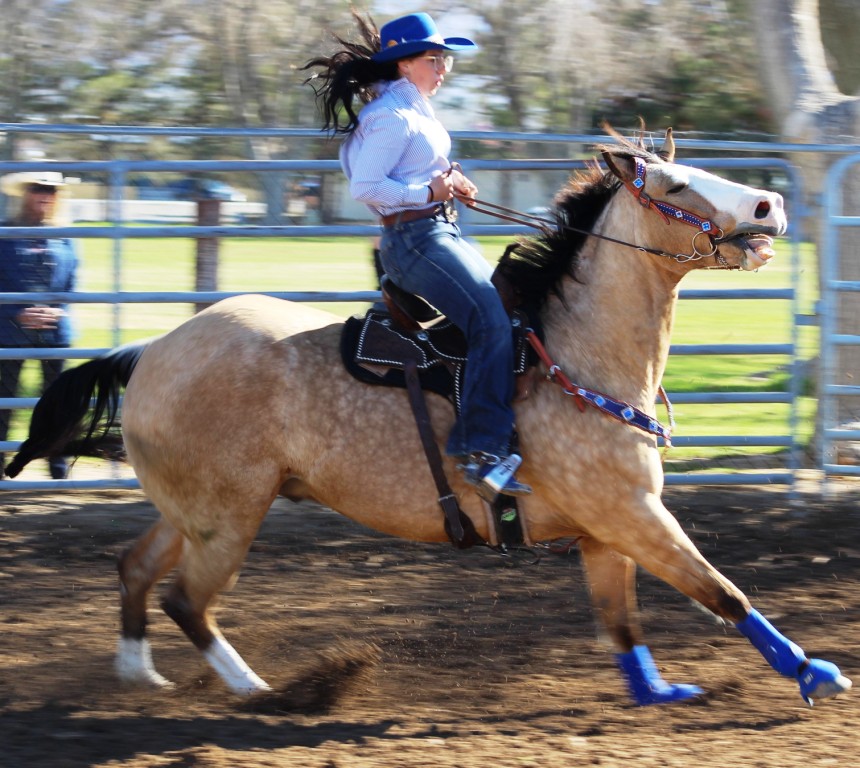 Pole-bending as seen in high school rodeos: Nevada State HS Rodeo Association; Priefert Pavilion; Petrack; Petrack Park; & Mccullough arena.