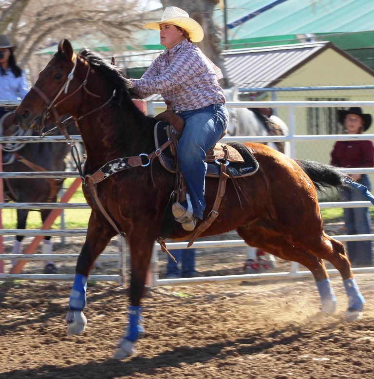 Pole-bending event, contestant at start of time trials as horse accelerates at McCullough Arena, Pahrump Nevada, as seen in high school rodeos: Alamo; Battle Mountain; Boulder City; Pahrump; Pahrump Valley; Elko; Eureka; Fallon; Fernley; Humboldt; Moapa Valley; Spanish Springs; Washoe; Wells; White Pine; NSHSRA; Priefert Pavilion; & South Point.